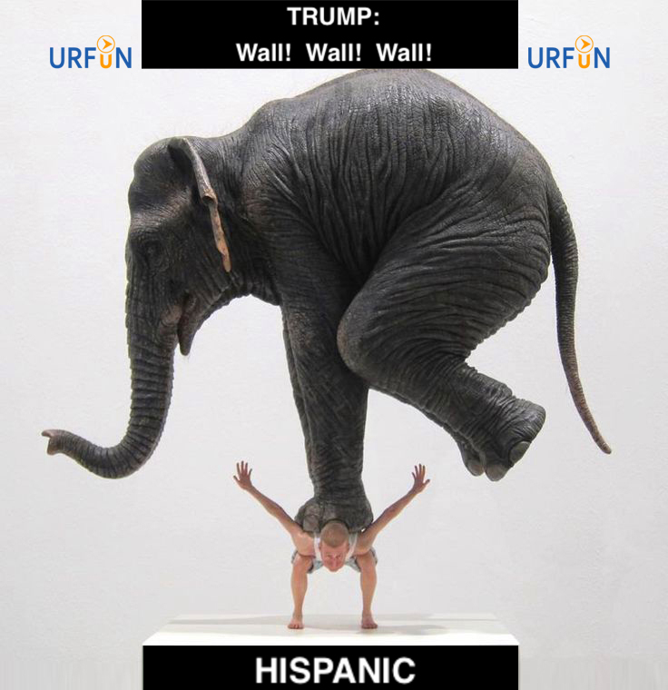 Trump wall! wall! wall! HISPANIC - urfun.com